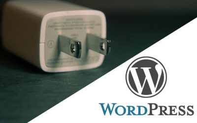 5 Types of WordPress Plugins Your Business Website Must Have